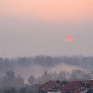 日本熟妇毛多黑毛
