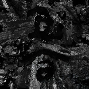 日本熟妇毛多黑毛
