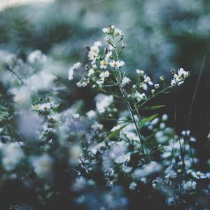 日本熟妇毛多黑毛
